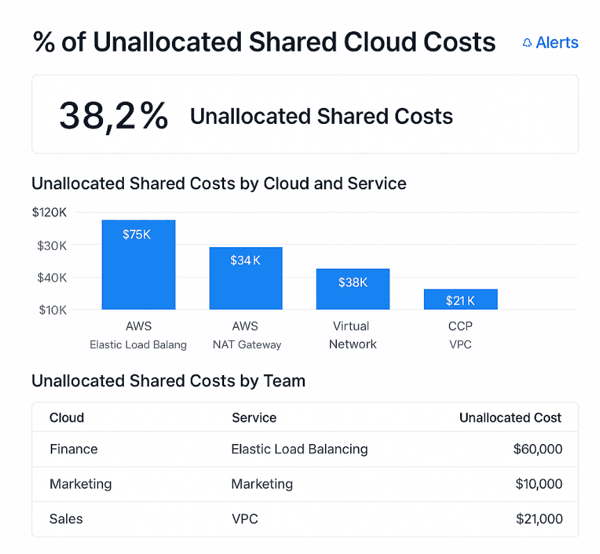 Unallocated Shared Cloud Costs