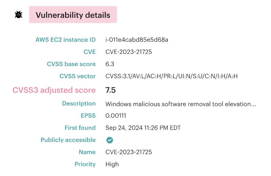 software vulnerability testing tool